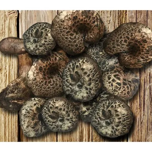 티벳농부 냉동 능이버섯 1kg