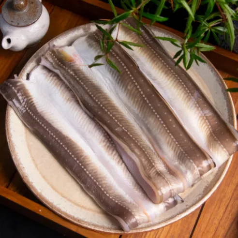 [당일조업] 통영 자연산 바다장어 손질 장어 1kg 2kg 3kg 뼈 머리 소스 포함