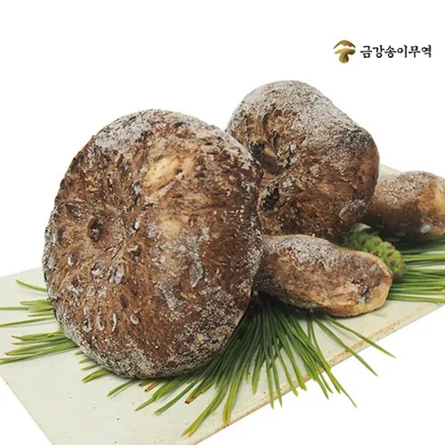 [금강송이무역] 자연산 능이버섯 냉동 [특품]