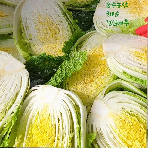 [순수농산] 23년 땅끝 해남 절임배추 20kg 김장배추 절인배추 파는곳 예약 월~금선택