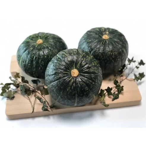 단호박 5kg 10kg 미니단호박 1.5kg 3kg 빠른배송 산지직송 당일배송