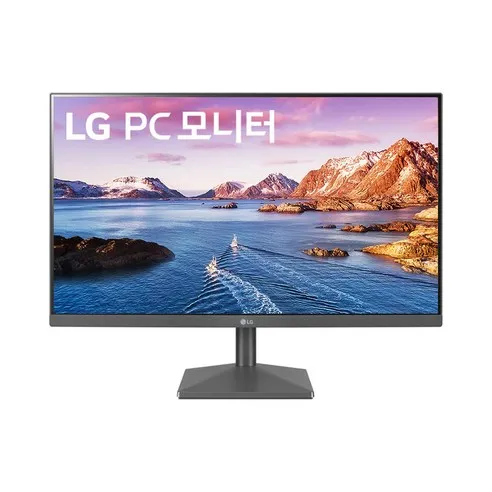 LG전자 60.4cm FHD 모니터