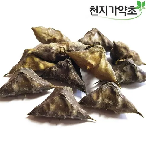 (롯데택배발송) 천지가약초 충남태안 햇 마름열매 200g 물밤 능실