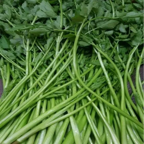 알뜰농장 국내산 싱싱 돌 미나리 작업 배송 최상품 1kg/4kg내외