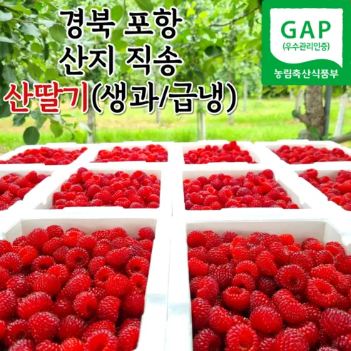 포항 햇 산딸기 냉동산딸기 산지직송 500g 1kg 2kg
