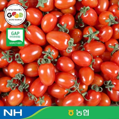 전대표 농협선별 굿뜨래 대추방울토마토2kg mini tomato