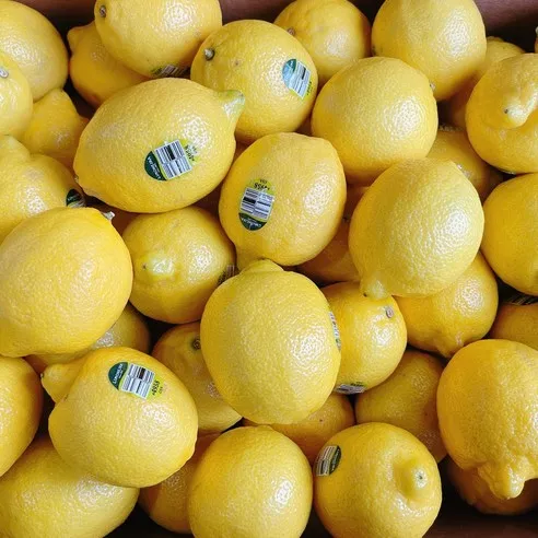 미국산 칠레산 레몬 정품 레몬 대과 7개입 20개입 40개입, 120g 내외, 20개